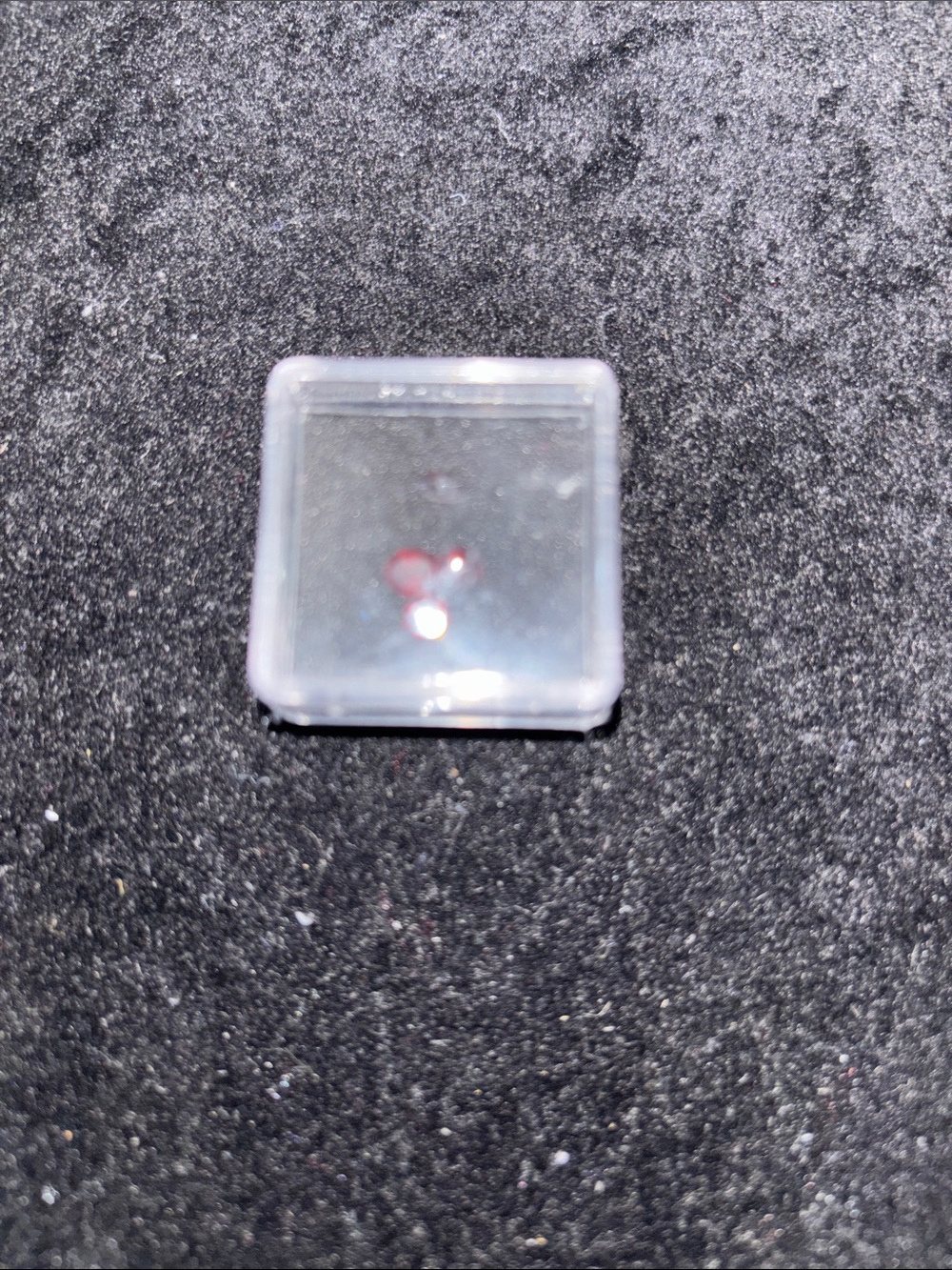 Loose Garnets in Clear Protective Case